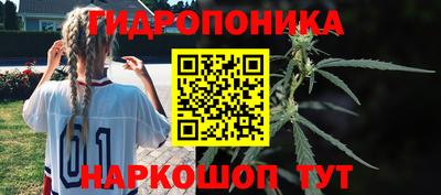 гашик Бугуруслан