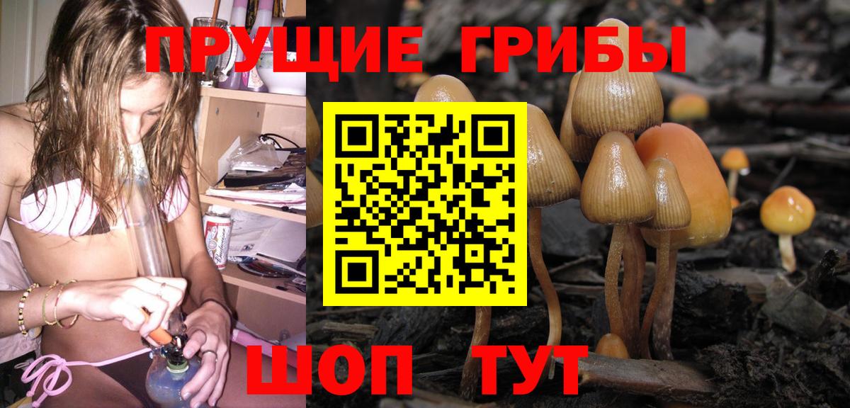 Галлюциногенные грибы Psilocybe Орёл