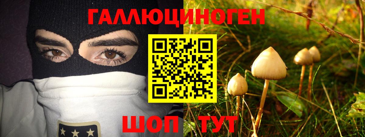 Орёл  Галлюциногенные грибы MAGIC MUSHROOMS  Вход с VPN 